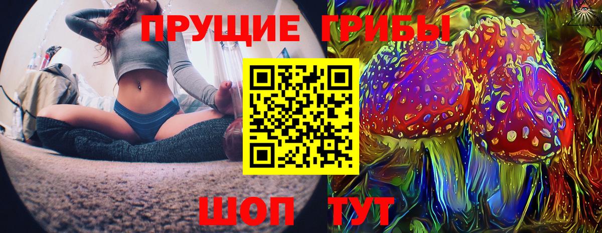Галлюциногенные грибы Magic Shrooms Камышин