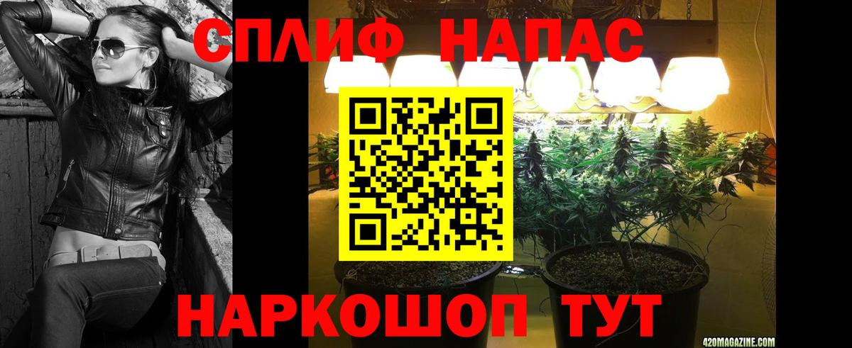 Бошки Шишки индика  Бошки Шишки White Widow  МАРИХУАНА Bruce Banner  Камышин  Вход с VPN 